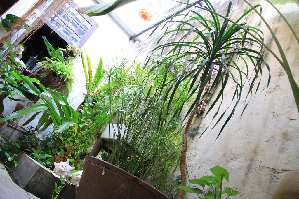 Motel Moontree47 George Town Exterior foto